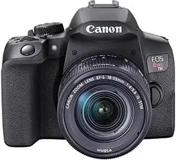 Canon EOS Rebel T8i a great all-round performer camera for dog photography
