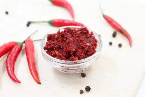 5 Best Blenders for Chilli Paste in 2022 – All you need to know