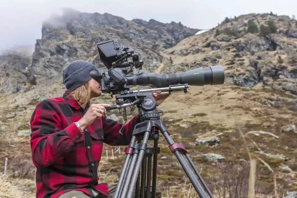 Article about best camera for Swarovski digiscoping.